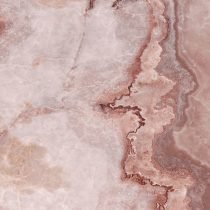 Cassiopea - Image 2