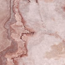 Cassiopea - Image 5