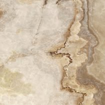 Cassiopea - Image 4