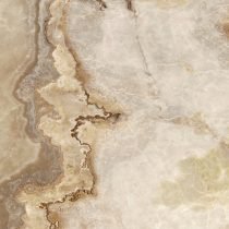 Cassiopea - Image 3