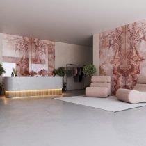 Cassiopea - Image 1