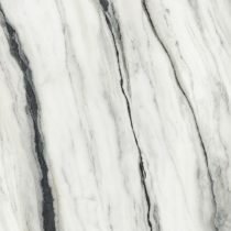 Castor - Image 3