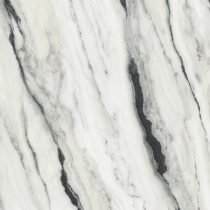 Castor - Image 2