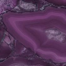 Electra - Image 3