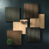 HPL Sahara Finish and Dark Walnut Cabinets - Image 14