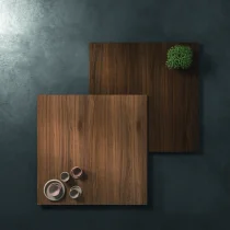 HPL Sahara Finish and Dark Walnut Cabinets - Image 12